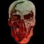 Profile picture of E.J.
